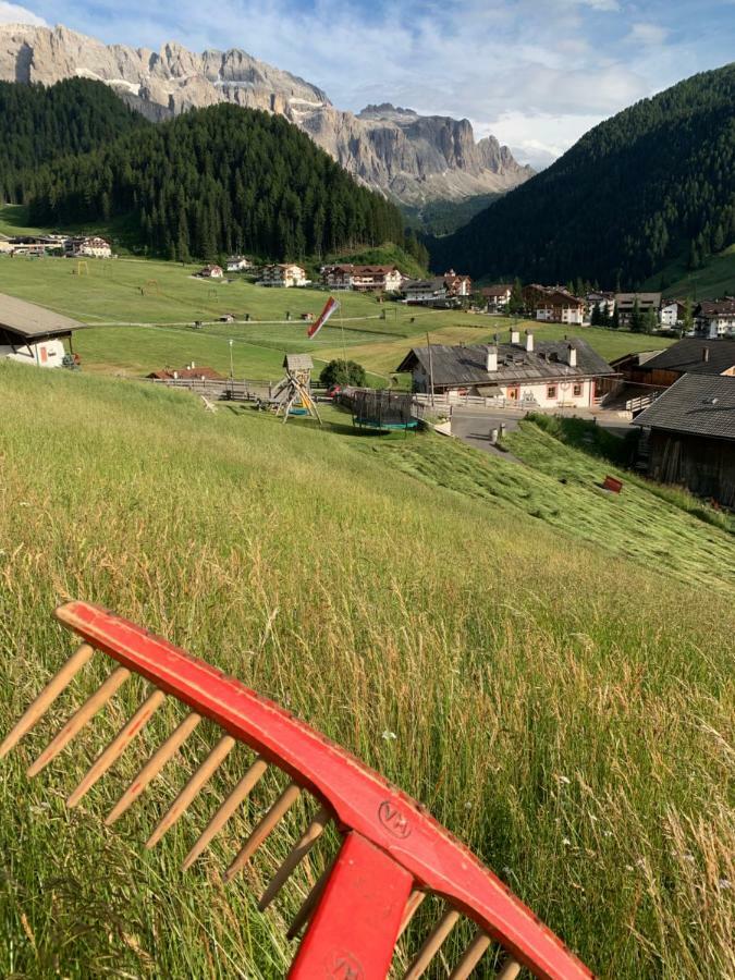 Agriturismo Maso Larciunei Selva di Val Gardena Exterior photo